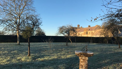 A stone mansion in winter sunshine, seen behind an orchard with bare trees and frost on the grass